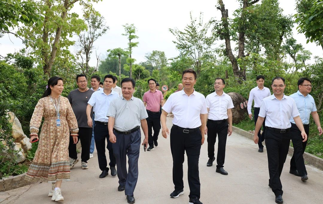桂平市市长黄德佳等领导到我校指导工作 丨 雷速（中国）